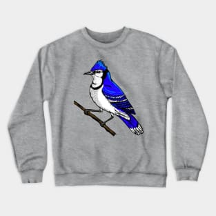 Blue Jay Crewneck Sweatshirt